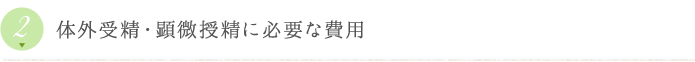 体外受精・顕微授精に必要な費用