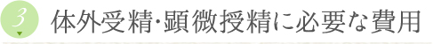体外受精・顕微授精に必要な費用